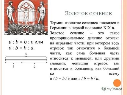 Пропорция в математике