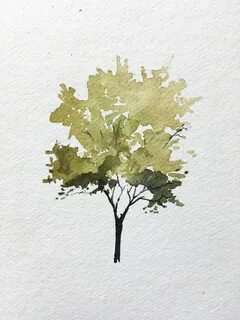 Рисунок дерева красками