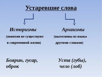 Архаизм диалектизм историзм
