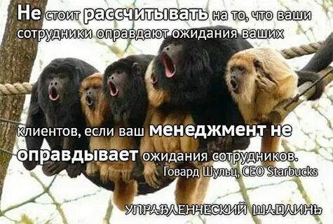 Надеяться стоящий