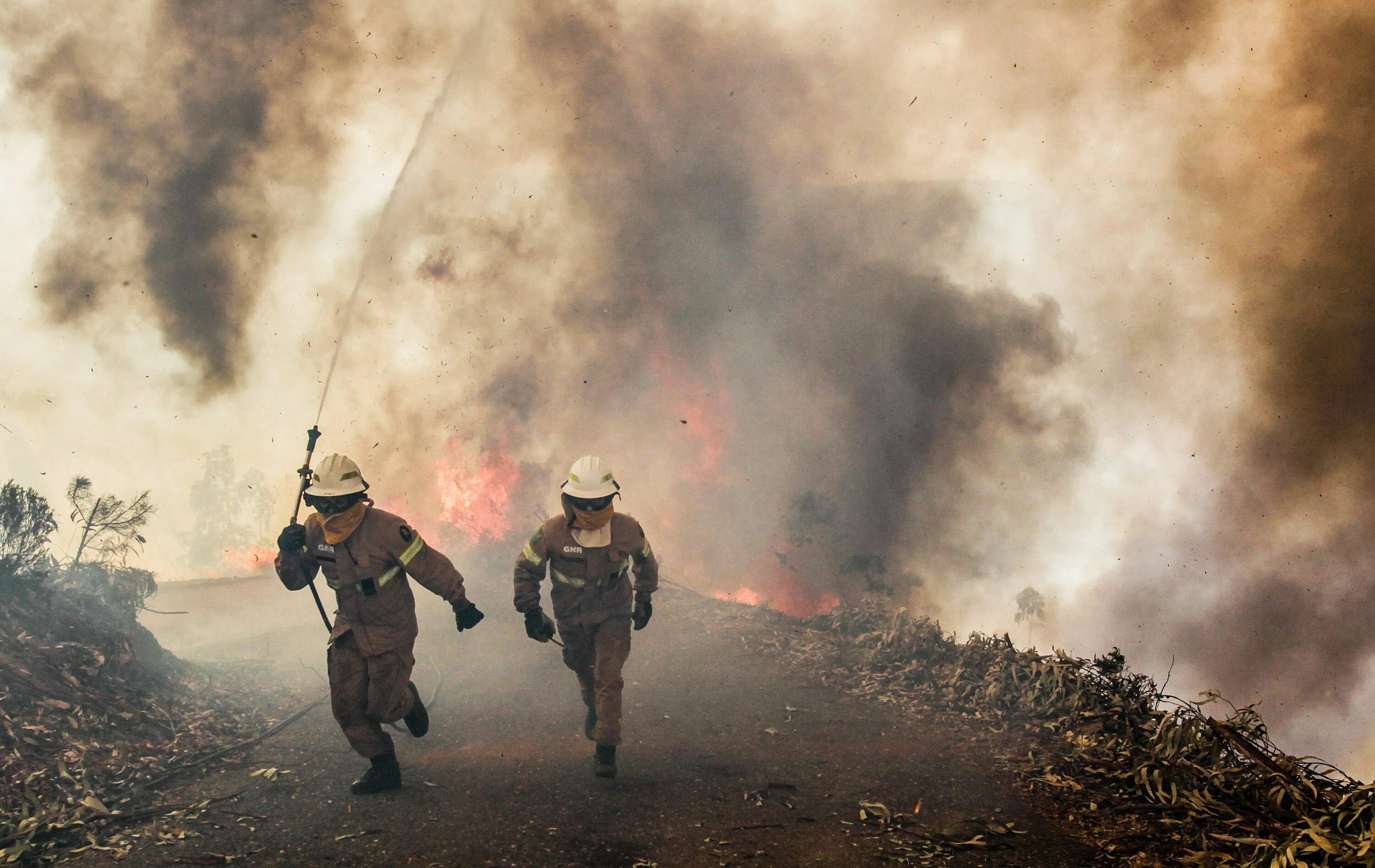 Пожары 2017 год. Португалия Лесные пожары 2017. Лесные пожары в Португалии. Пожар в Португалии 2017. Самые масштабные пожары.