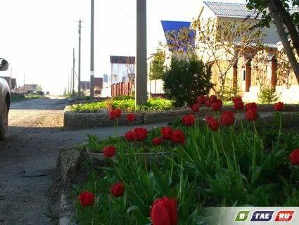 Туркменский переулок воронеж