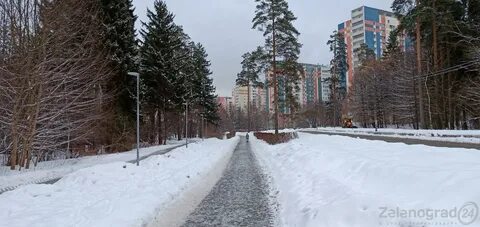 Зеленоград 24