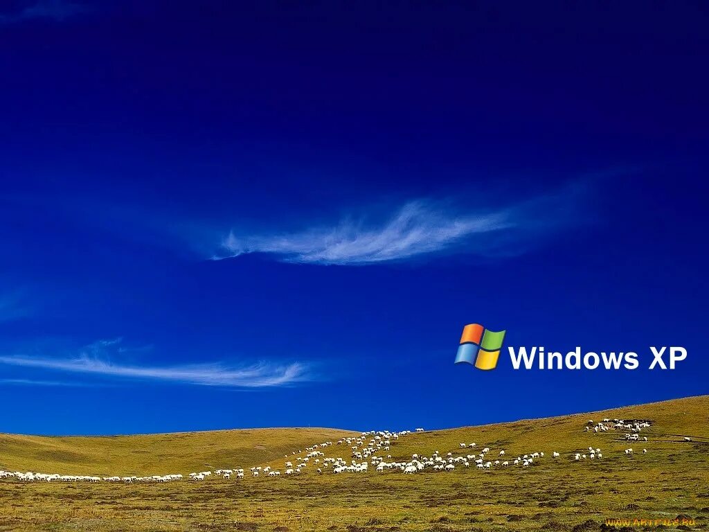 Картинка windows. Виндовс XP. Windows XP рабочий стол. Фон виндовс ХП. Фото виндовс.