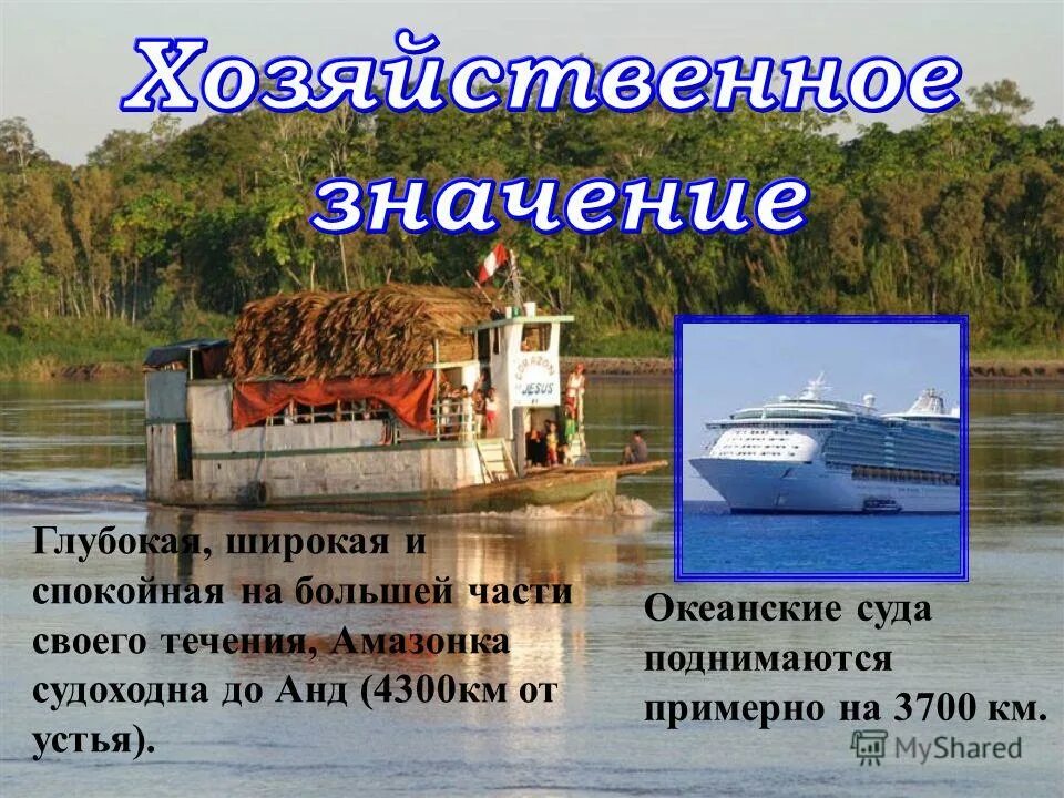 Хозяйственная деятельность рек. Хозяйственное значение реки амазонка. Амазонский бассейн растительность. Проект река амазонка. Река амазонка география 7 класс.