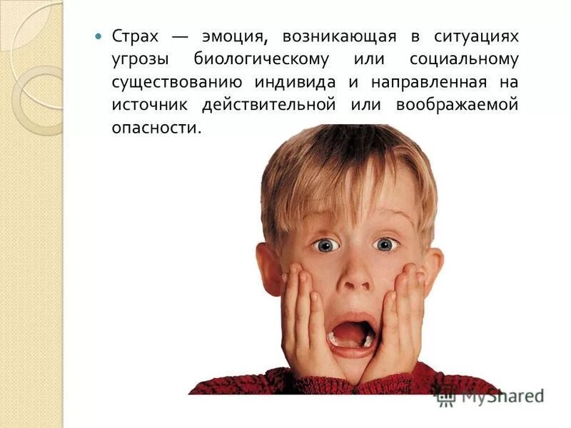 отрицательные эмоции страх. страх эмоция возникающая в ситуации. страх эмоция возникающая в ситуации. страх в сознании. поведение в экстремальных ситуациях.