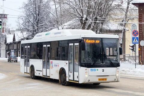 Уфа чебоксары автобус