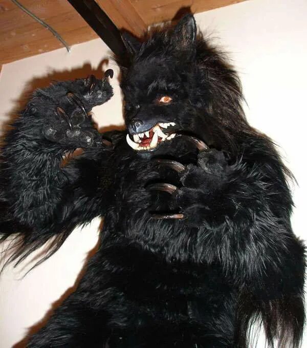 The Navajo Natives Warned Us About This Ancient Entity That Plagues Our Planet P