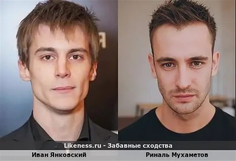 Похож на янковского. Янковский в молодости. Певец похожий на янковского. Певец похожий на янковского. Певец похожий на янковского.