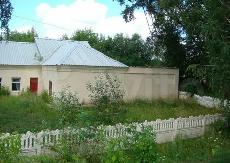 Фруктовая московская область