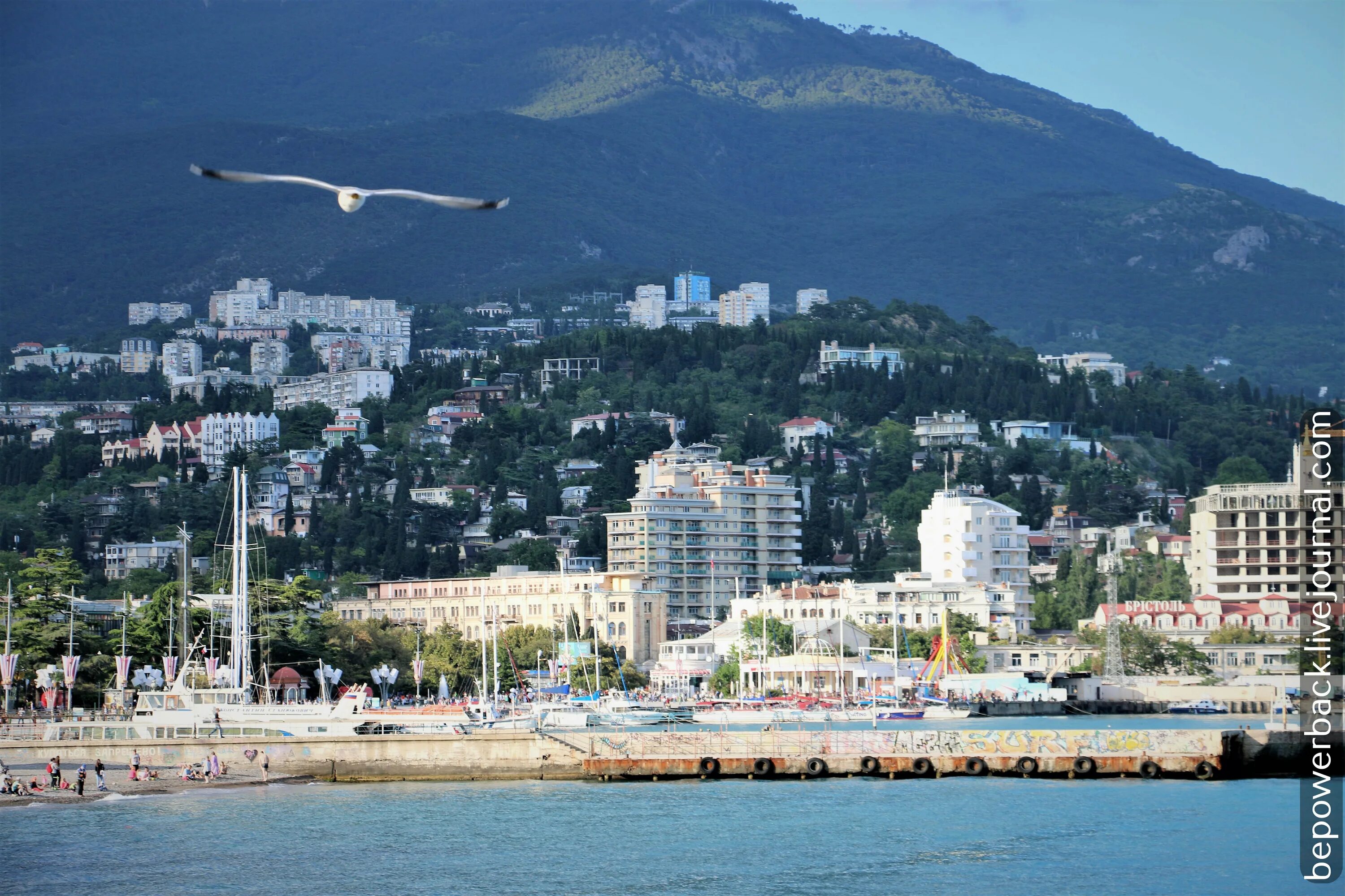 Ялта столица крыма. Г.Ялта Крым. Ялта Крымский город. Ялта горы набережная. Ялта виды города.