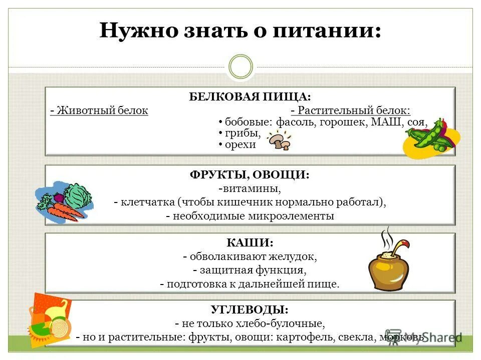 Тест по правильному питанию. Тест на правильное питание. Тест по правильному питанию для детей. Вопросы на тему правильное питание.