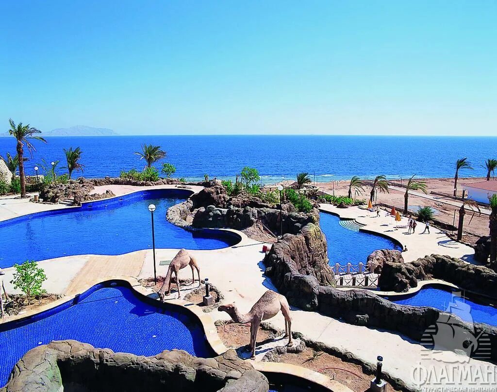 Sharm 5 отзывы. Отель Шератон Шарм-Эль-Шейх. Отель Sheraton Sharm Resort 5. Отель Шератон Шарм Резорт Шарм-Эль-Шейх. Отель Sheraton в Египте.