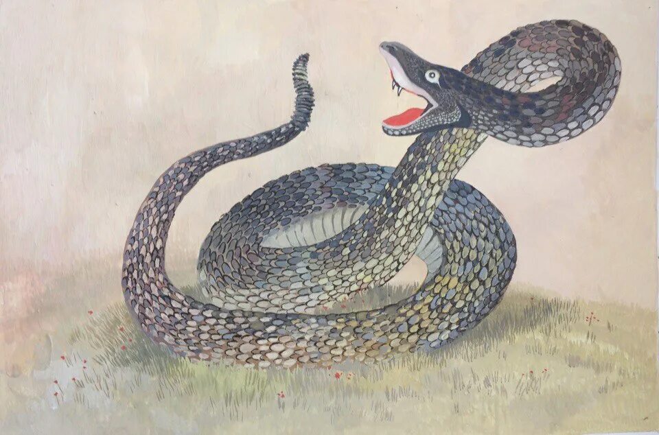Притчи про змей. Ушинский гадюка это произведение. Рассказ гадюка Ушинского. Гадюка Ушинский рассказ. А.Н. Толстого "гадюка".