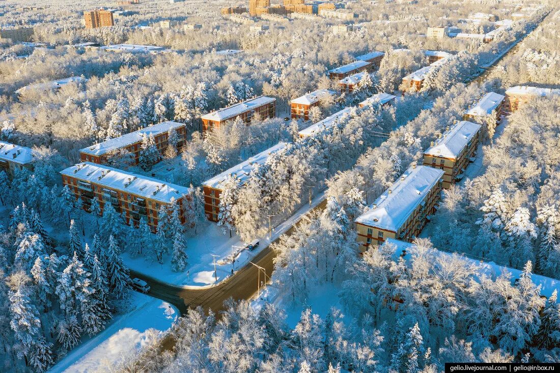 Зимой купить в новосибирске. Новосибирск городок Академ. Академгородок Новосибирск зима. Академгородок Новосибирск зимой. Академ гнорродо Новосиб.