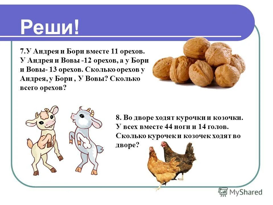 Сколько ног у кролика