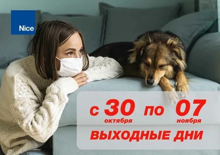 Предложили выходные