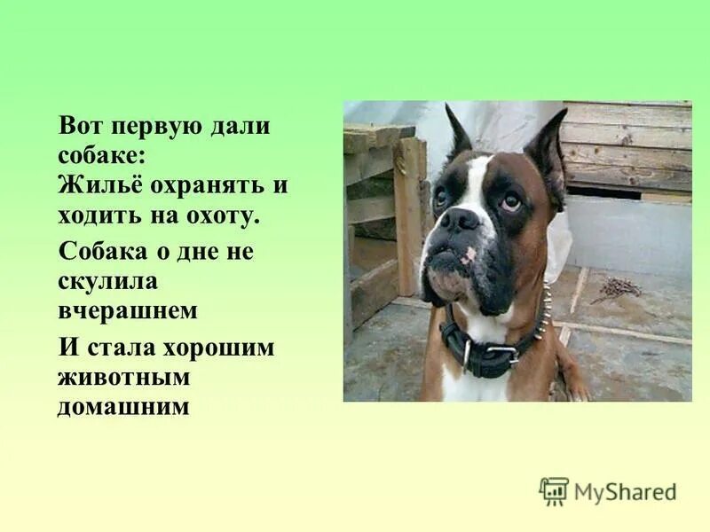 05 августа день работай как собака.