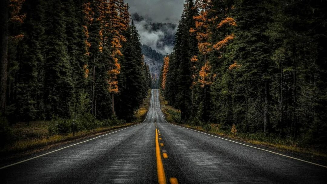 Find you road. Find you road