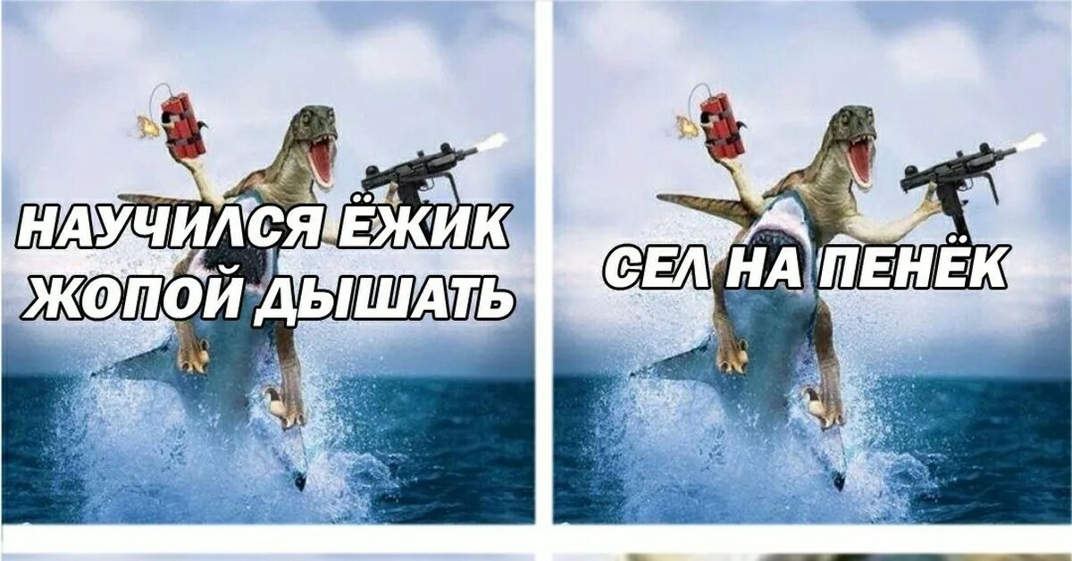 Ежик сел на пенек и задохнулся. Ежик забыл как дышать и задохнулся. научился ёжик дышать анекдот. ёжик научился дышать.