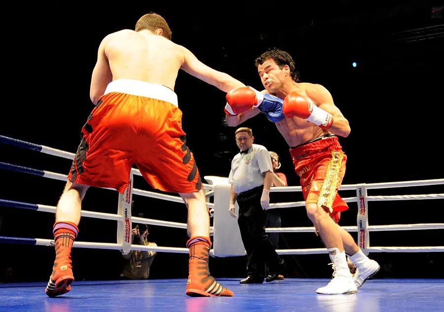 Джнли бокс. Ли боксун. Харрисон Боксли. Джелли бокс спорт. Ten boxing