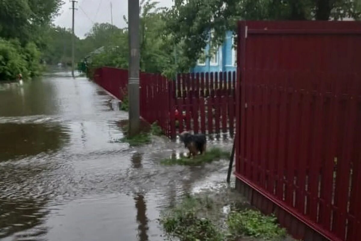 Паводок в рязанской области сейчас. Деревня Шевырляй Шацкий район Рязанская область. Речка Шача Шацкий район-. Подтопление в Рязанской области. Наводнение в Шацком районе Рязанской области.