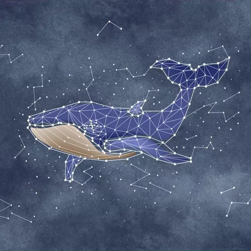 В далеком созвездии кита. Созвездие кита Геншин. Созвездие касатки. Созвездие акулы. Созвездие кит для детей.