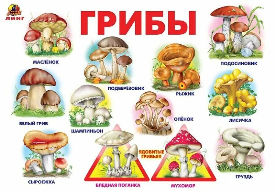 Раздаточный и демонстрационный материал по математике 1 - купить с доставкой по 