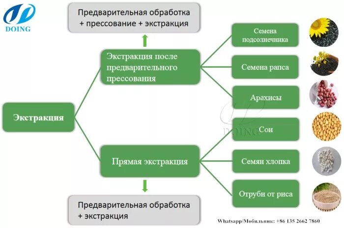 Схема производства растительного масла методом экстракции.. Технология растительного масла методом экстрагирования. Технология экстракции подсолнечного масла. Технологическая схема производства рапсового масла. Способы переработки растений