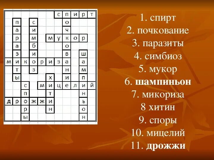 Кроссворд по биологии царство грибов 7 класс. Кроссворд на тему грибы. Кроссворд на тему грибы 5 класс с ответами по биологии. Красводрд на тема грибы. Кроссворд домен