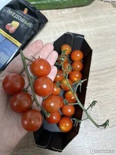 Черри медовые отзывы