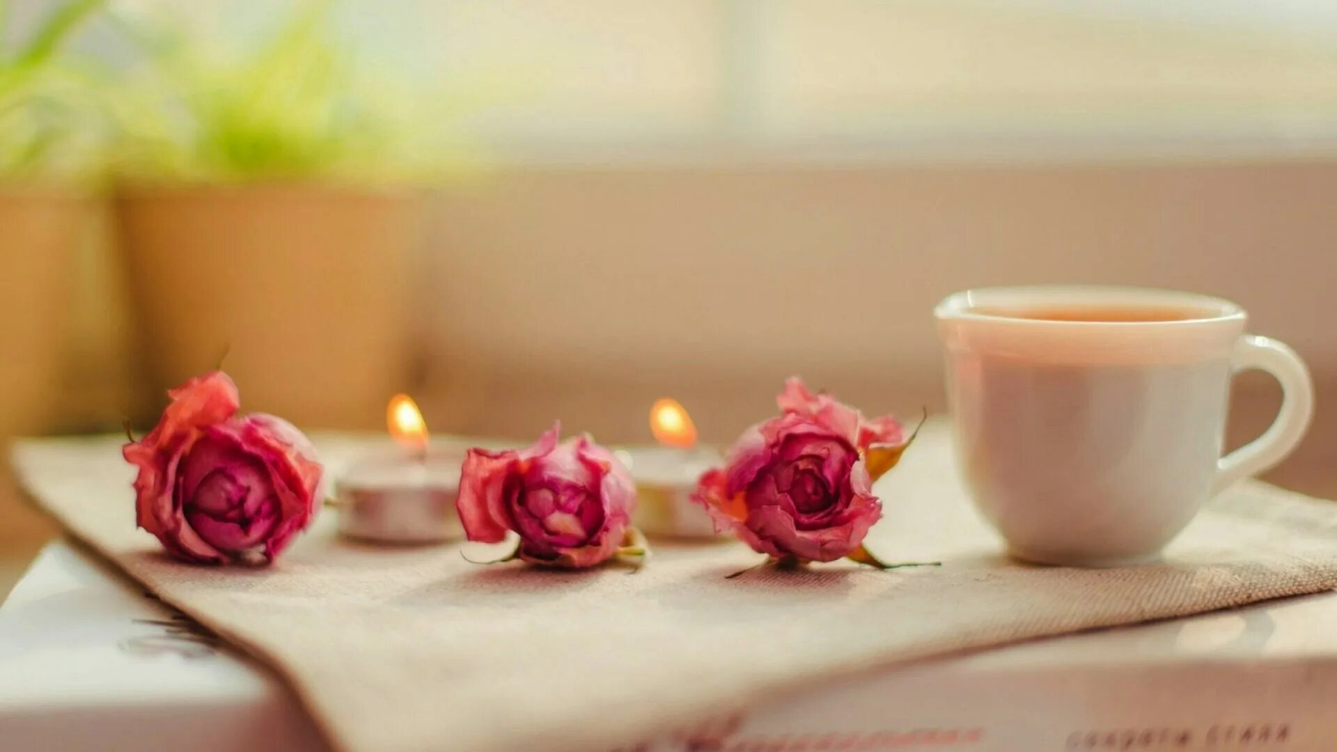 Morning to remember. Утренние цветы. Кофе и цветы. Утренние цветы картинки. Кофе с цветами.