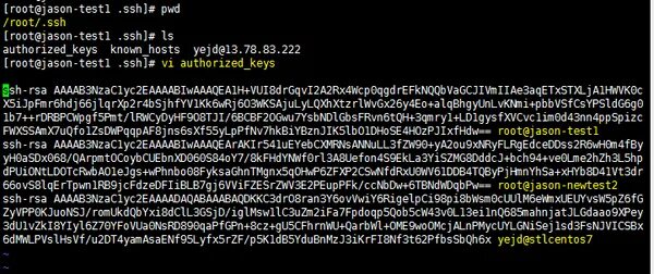 Authorized keys. Авторизация по ключу ssh. как выглядит файл authorized_keys.