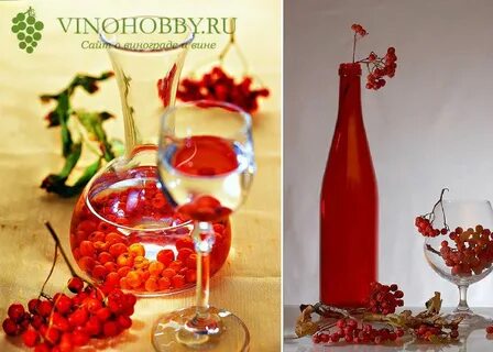 Простой рецепт вина из красной рябины