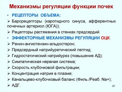 Почечная регуляция