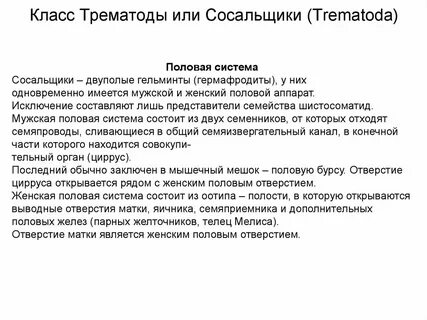 Половая система сосальщиков