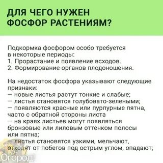 Роль фосфора в жизни растений