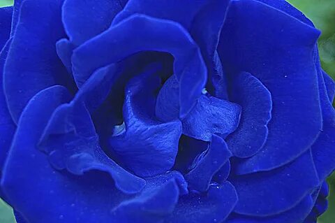 Too blue