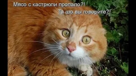 Какая ой нет