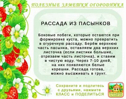 Во саду ли в огороде текст