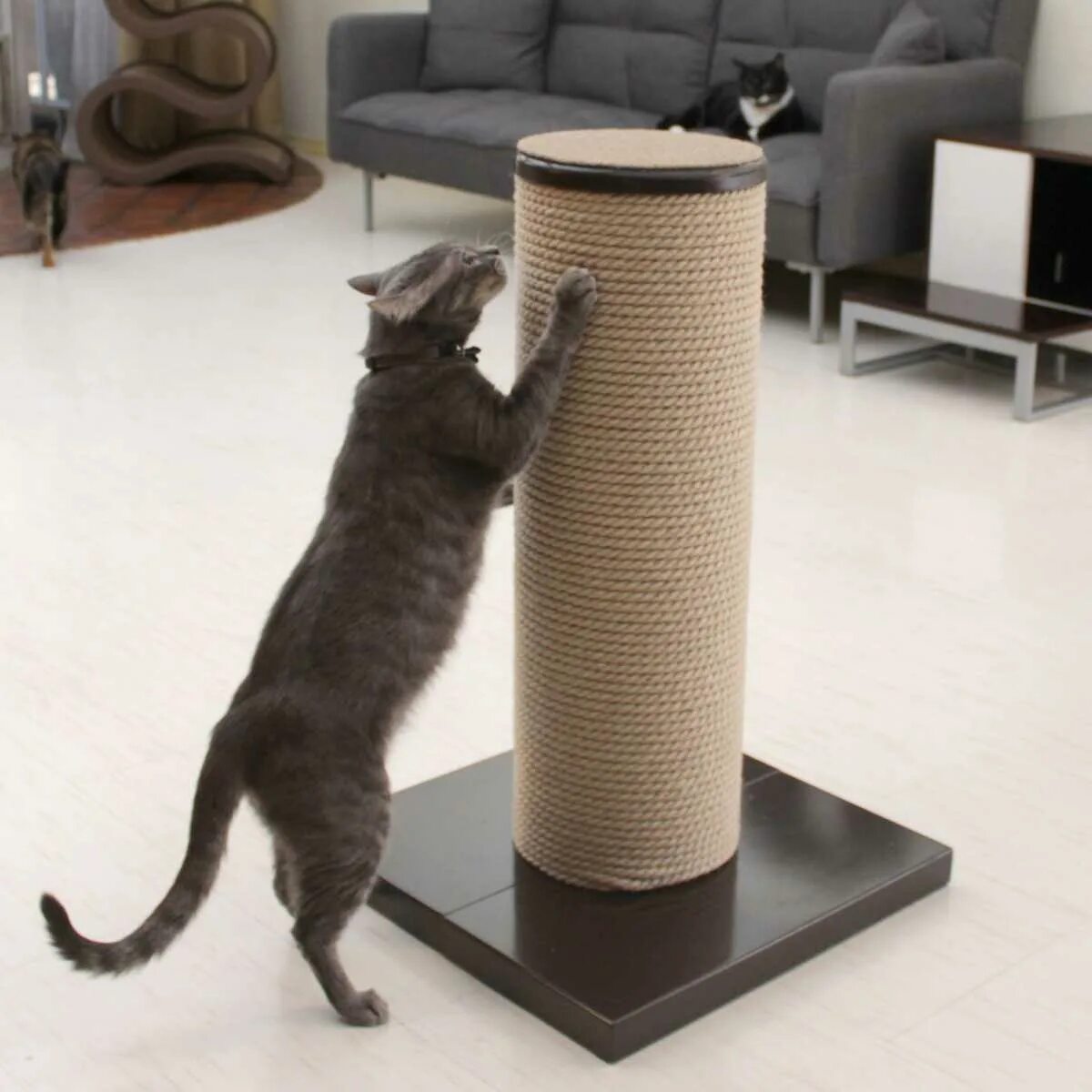 Cat scratcher. Когтеточки на диван. Scratching Post for Cats. Cats sharpen their Claws on a scratching Post. The biggest dick of Cat.