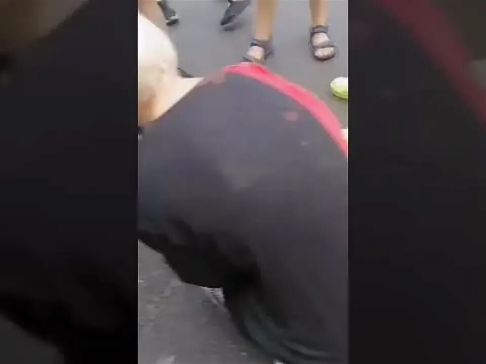 В ставрополе расчленили котенка. Приговор. Какой мальчик съел сердце котенка. Какой мальчик съел сердце котенка. Шокированный кот.