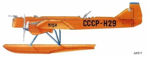 Ант 7