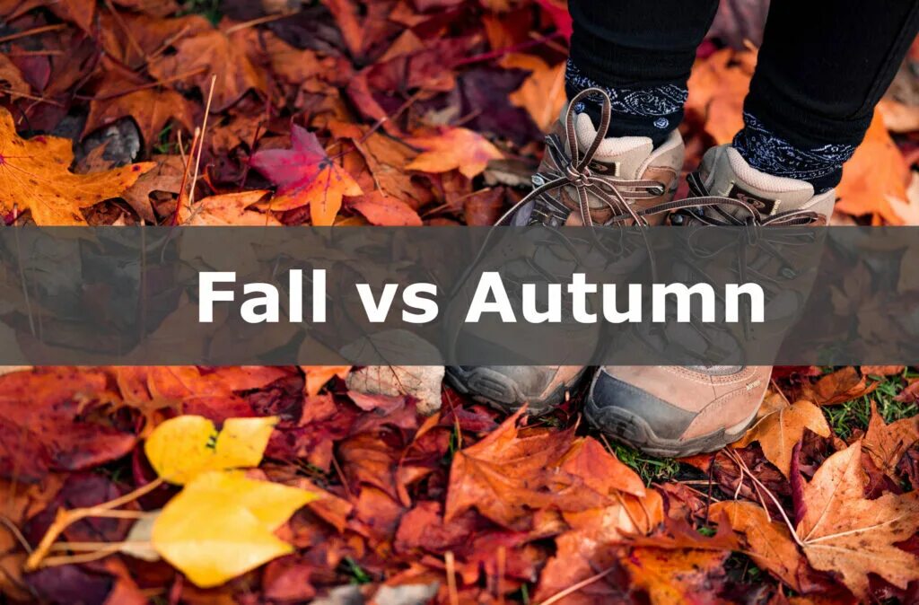 Fall i need. Autumn vs fall. fall autumn отличие. autumn и fall какая разница. autumn falls перевод.