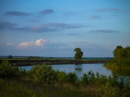 Волгоградская область новоаннинский алексеевский