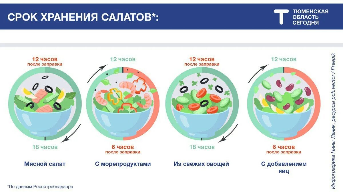 Сколько хранить салат в холодильнике. Срок годности салатов. Сроки хранения салатов. Сколько хранятся салаты. Сроки хранения незаправленных салатов.