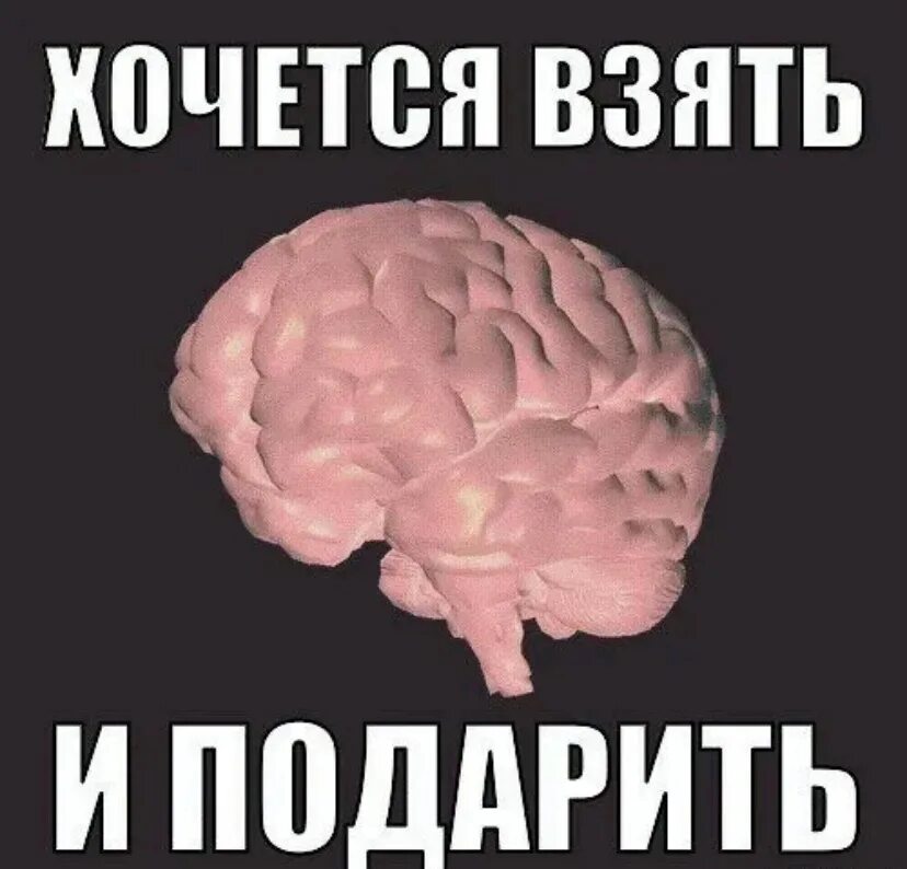 Мозги не делай. Оскорбительные мемы про мозг. Мозг в подарок. Дарю мозг.