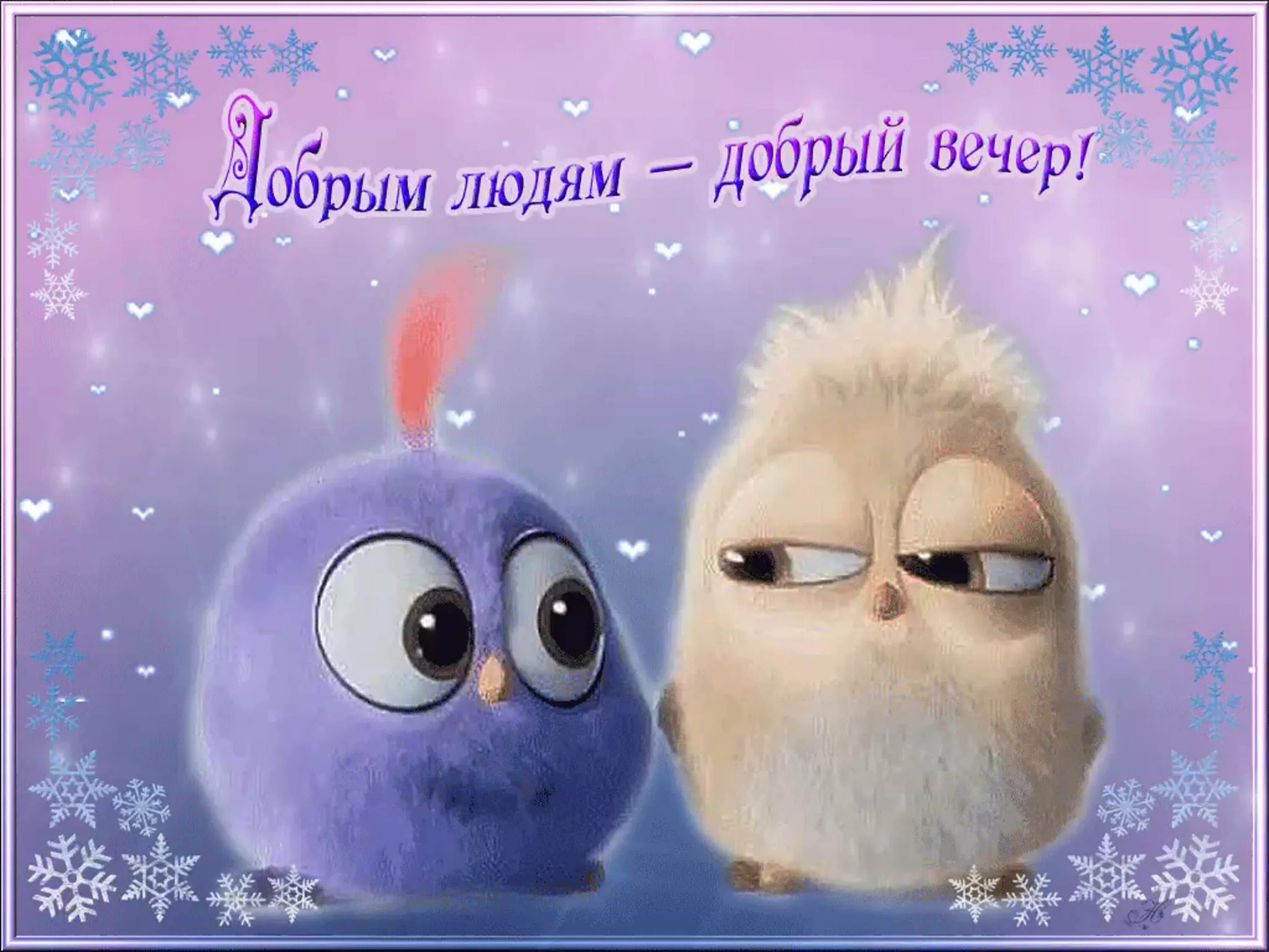 Добрый вечер картинки прикольные