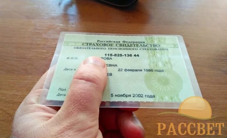Ади рег снилс получить. Снилс. номер снилс. снилс фото. фото снилс с номером.