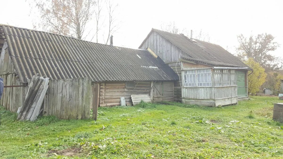 Погода в госткино. Погода в госткино. Огромное количество аистов в лужском районе. Погода в госткино. Погода в госткино.